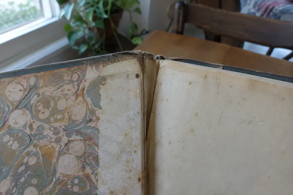 Close view of a cracked hinge and foxed endpaper inside an old hardcover book